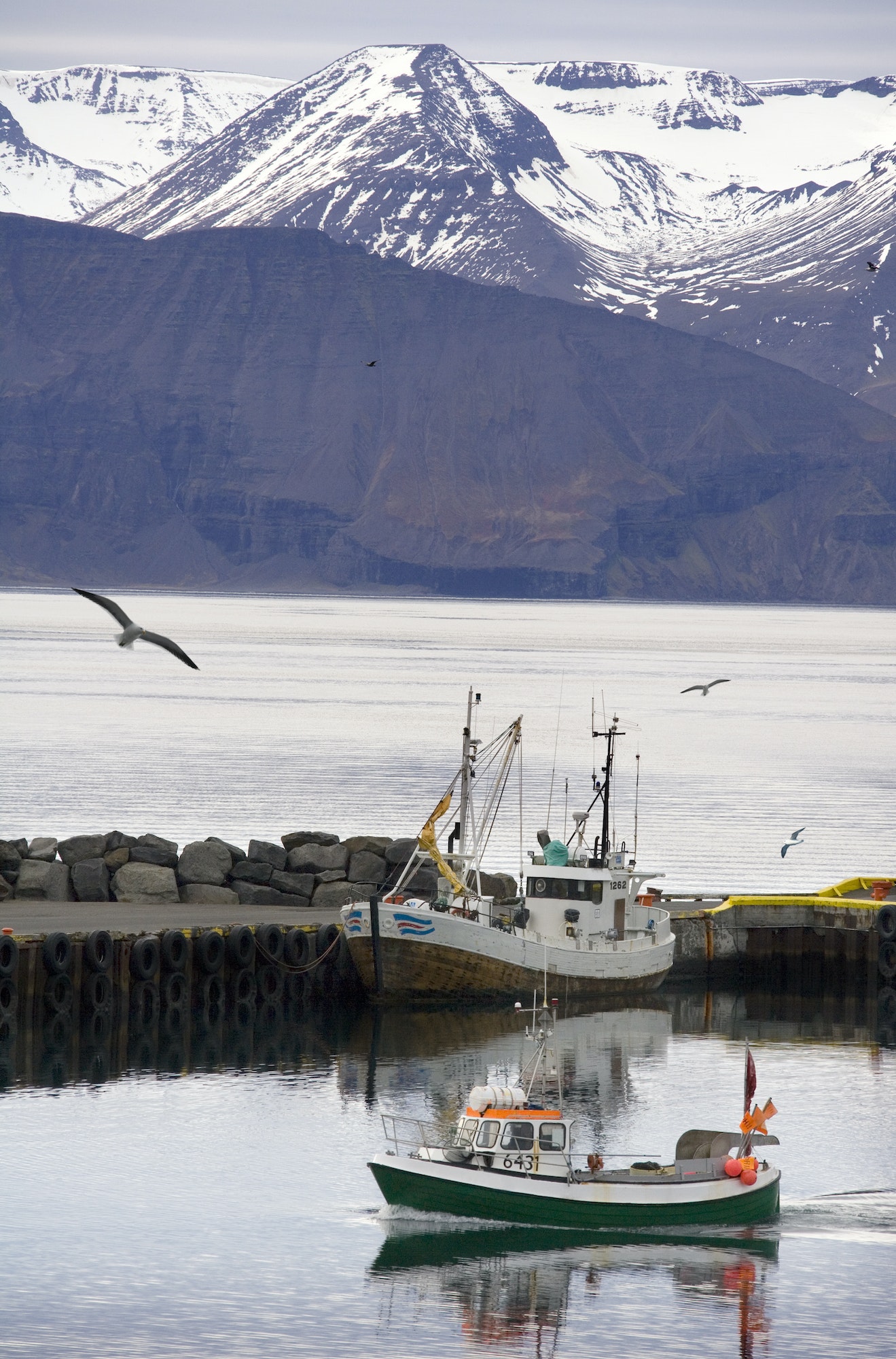 Port of Husavik - Iceland